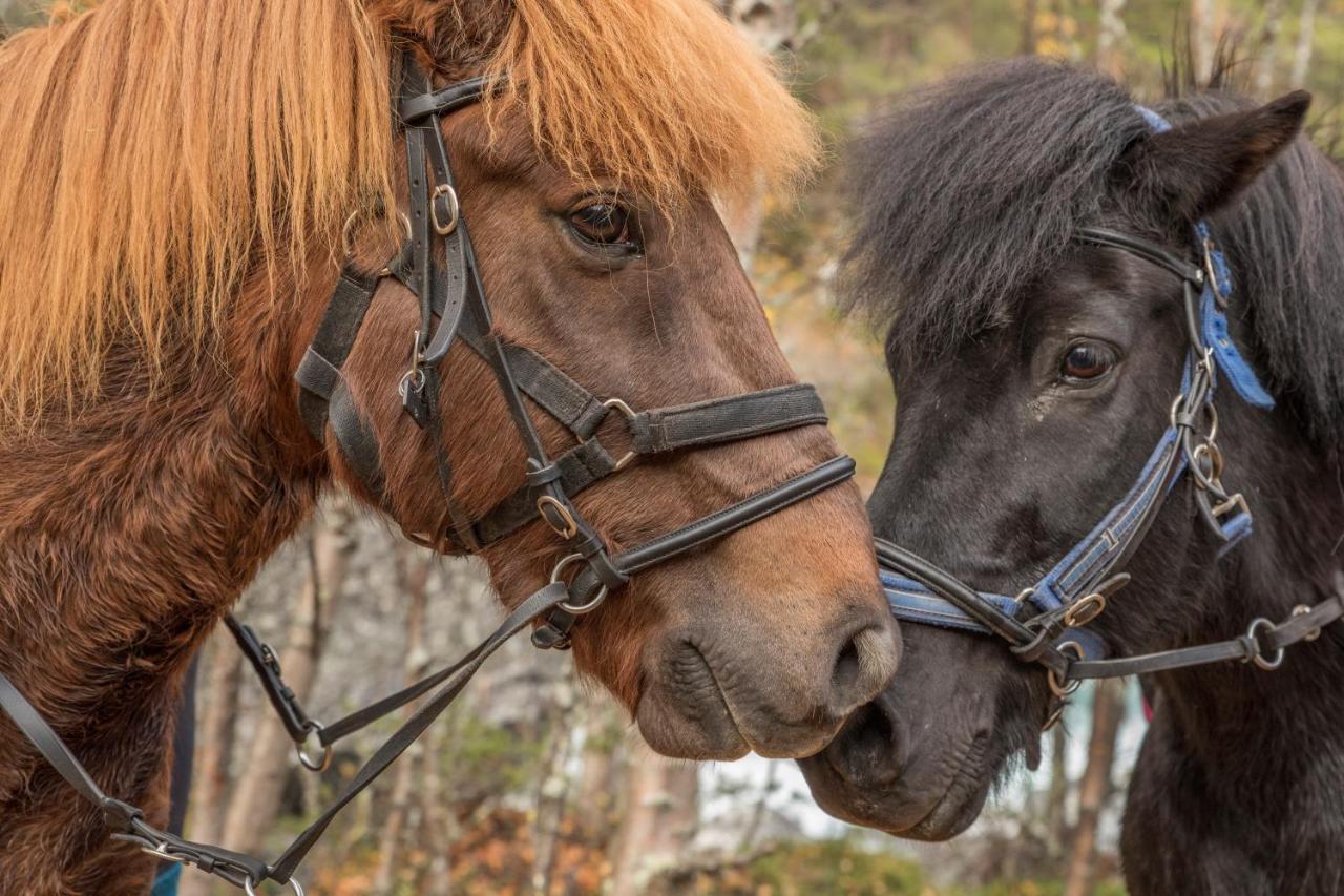 Fjelleventyret Gardsovernatting Skjåk Exteriör bild