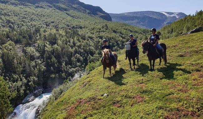 Fjelleventyret Gardsovernatting Skjåk Exteriör bild