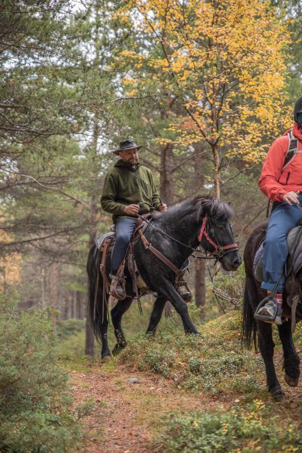 Fjelleventyret Gardsovernatting Skjåk Exteriör bild