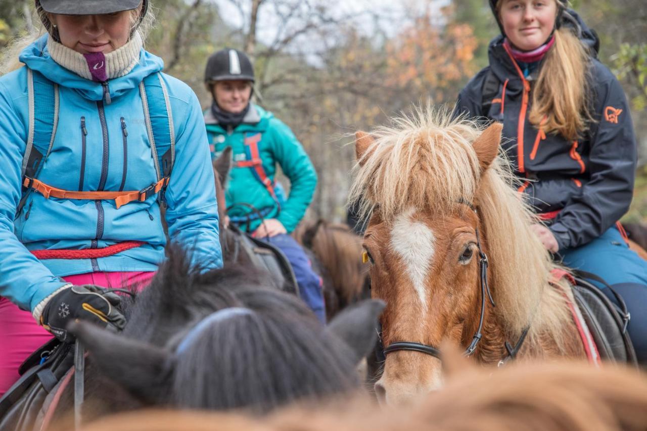 Fjelleventyret Gardsovernatting Skjåk Exteriör bild