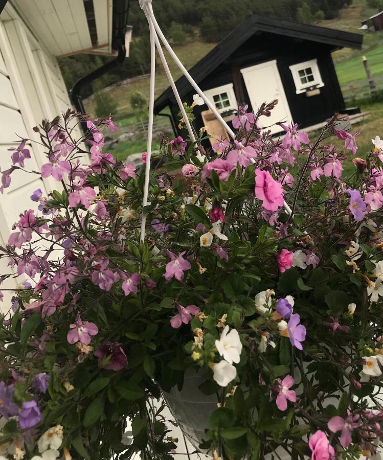 Fjelleventyret Gardsovernatting Skjåk Exteriör bild